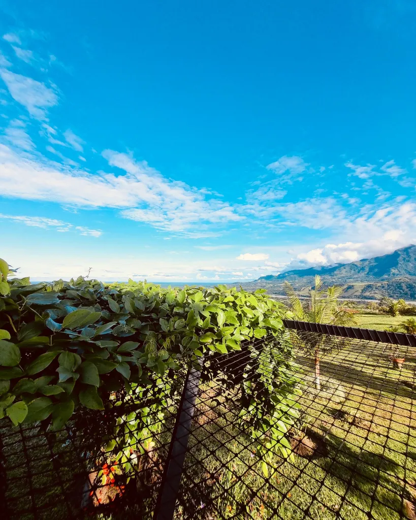 Glamping Alma Verde, Cubarral