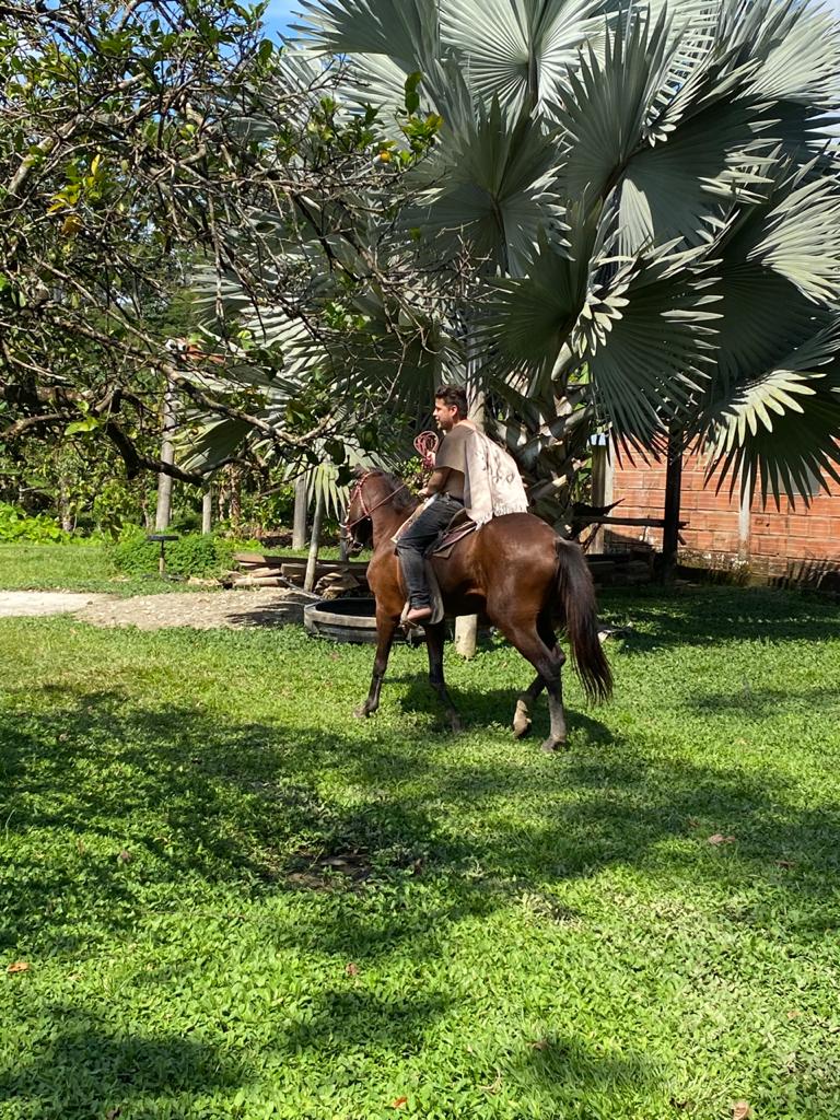 Aventura